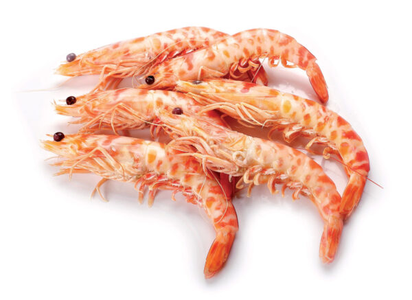 LANGOSTINO TIGRE TUNEZ 30/40 1KG ABORDO