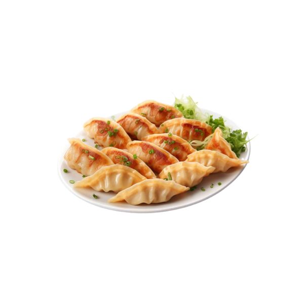 GYOZA VERDURAS 30UND 600GR MENGFU