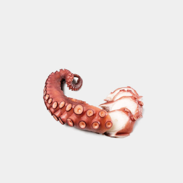 PULPO COCIDO 1 PATA "M" 200/300G APULP
