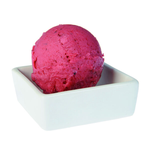 SORBETE FRUTOS ROJOS 2,5 L ICE NATURE