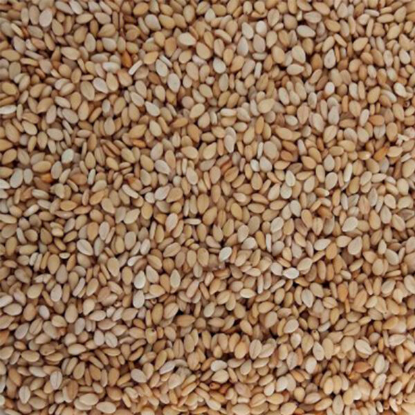 SESAMO AJONJOLI 120GR SOC