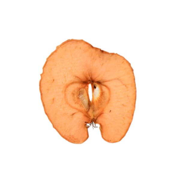 MANZANA EN CHIPS 80GR SOC - Imagen 2