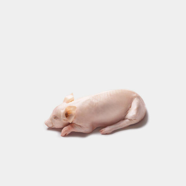 COCHINILLO DE SEGOVIA CONGELADO 3-4KG EXTRA