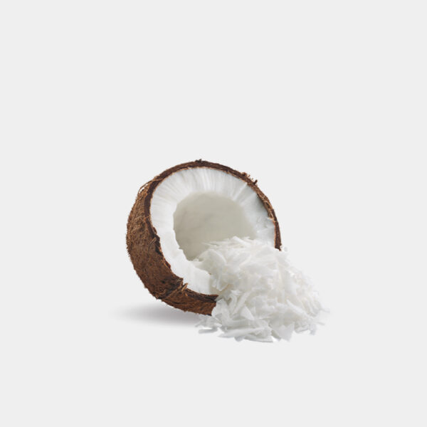 COCO RALLADO 1KG ITAC