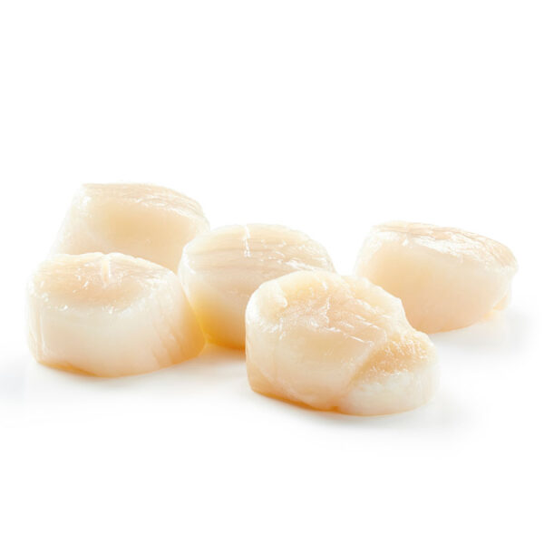 VIEIRA CANADA 0% GLASEO 10/20 (LIBRA) 1 KG