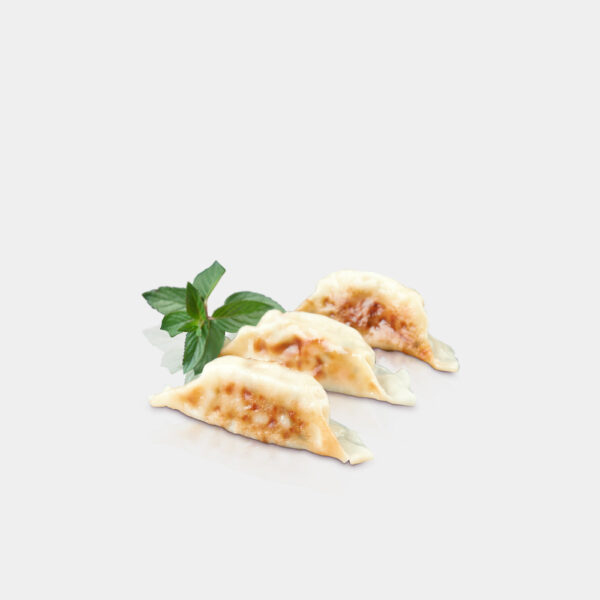 GYOZA DE MELOSO DE CERDO A LA MIEL 25GR 40UN