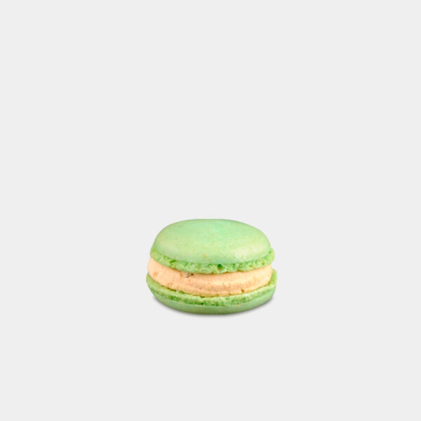 MACARON DE FOIE 10GR 48UND