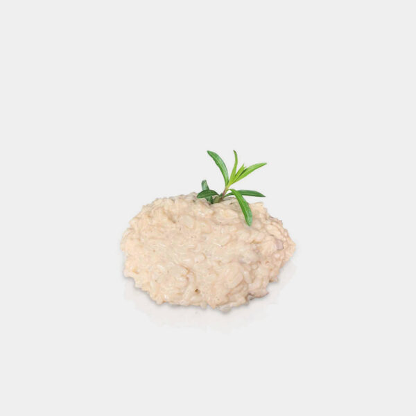 RISOTTO DE FUNGHI 300 EXQUISITARIUM