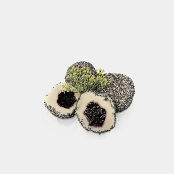 MORA SILVESTRE CON QUESO 10GR 48UND EXQUISITARIUM