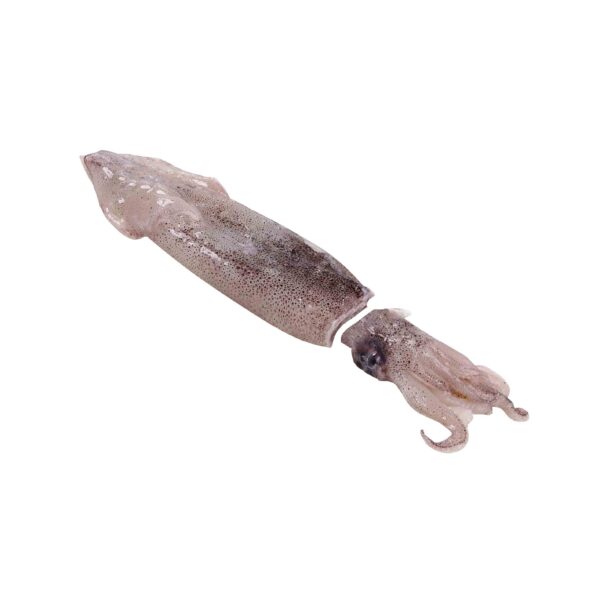 CALAMAR PATAGONICO ENTERO C/PIEL 1 KG 10% GLASEO