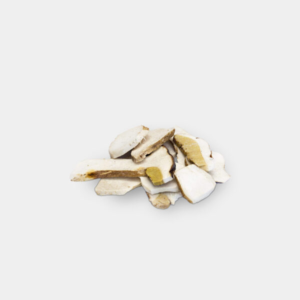 BOLETUS EDULIS LAMINADO 2,5KG BOCADO