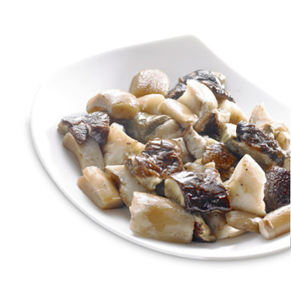 BOLETUS TROZO AROTZ 1KG - Imagen 3