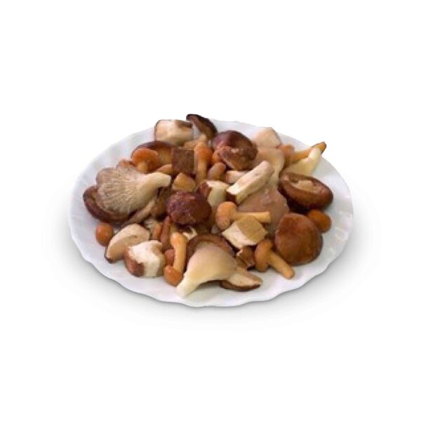 MEZCLA DE SETAS BABY CON BOLETUS 1KG CONGELADO