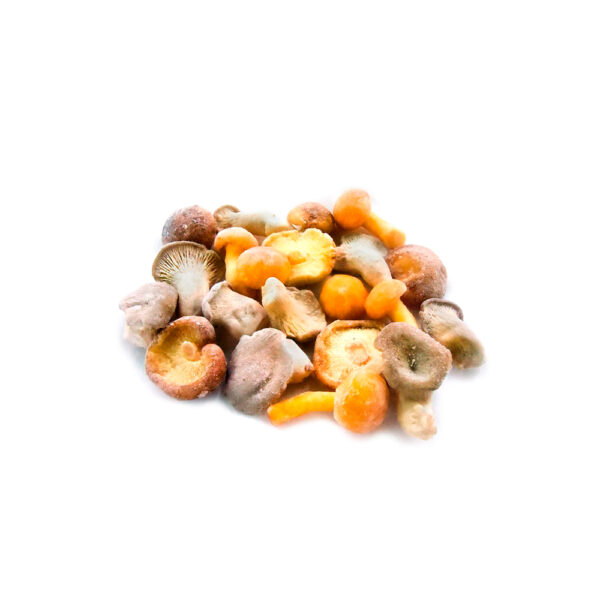 MEZCLA DE SETAS BABY BOLSA 1KG CONGELADOS