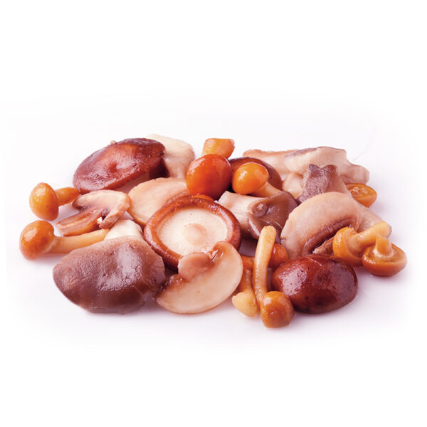 MEZCLA DE SETAS BABY BOLSA 1KG CONGELADOS - Imagen 2