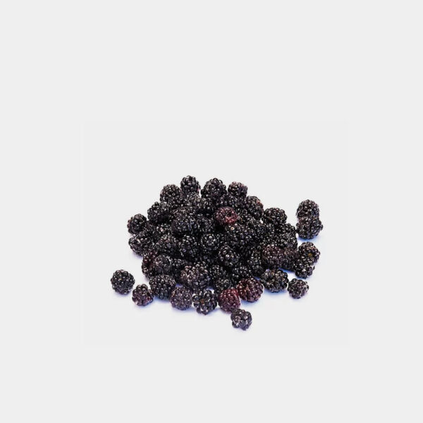 MORA SILVESTRE ENTERA 1KG BOLSA AROTZ