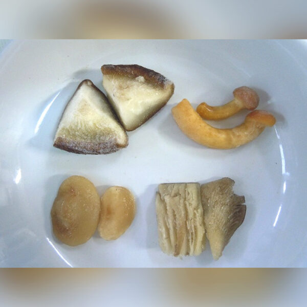 MEZCLA DE SETAS Y BOLETUS 10% BOLSA 2,5KG CONG