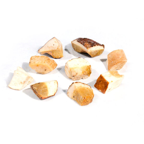 BOLETUS EDULIS TROZO 2,5 kg