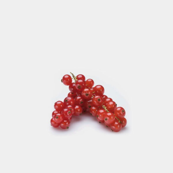GROSELLA ROJA EN RAMA ENTERA 6UND x 250GR.