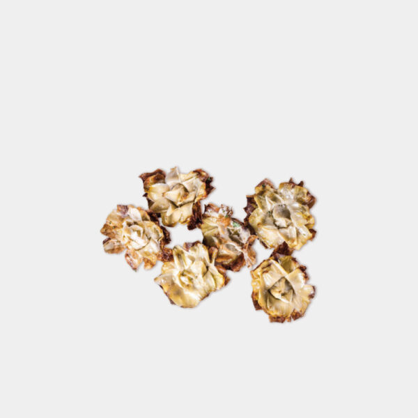 ALCACHOFA FLOR MEDIANA 10UND 530GR AROTZ CONG - Imagen 2