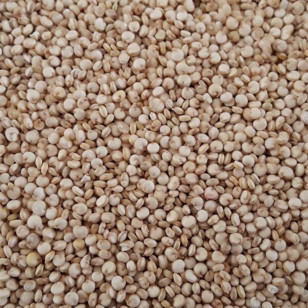 QUINOA BLANCA BIO 800GR SOC - Imagen 2