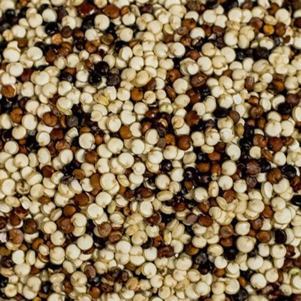 QUINOA TRICOLOR BIO 800GR SOC