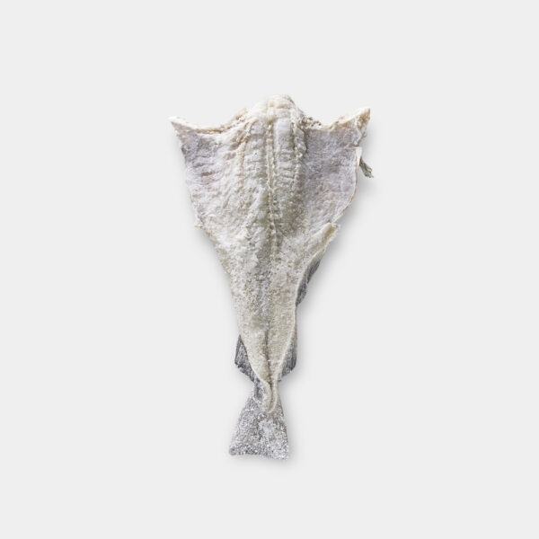 BACALAO SZ 40/60 3/4 RETRACTIL 10KG