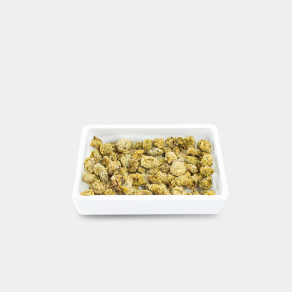 ANEMONA DE MAR ORTIGUILLA  BANDEJA 1KG