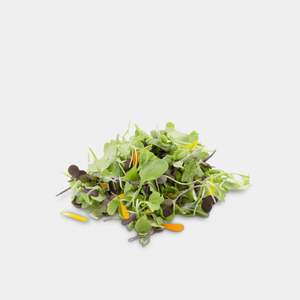 MICROMEZCLUM BASIC C/PETALOS 100 GR GERMINARTE