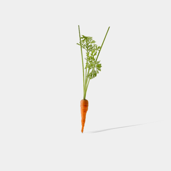 MICRO ZANAHORIA 20 UNIDADES GERMINARTE