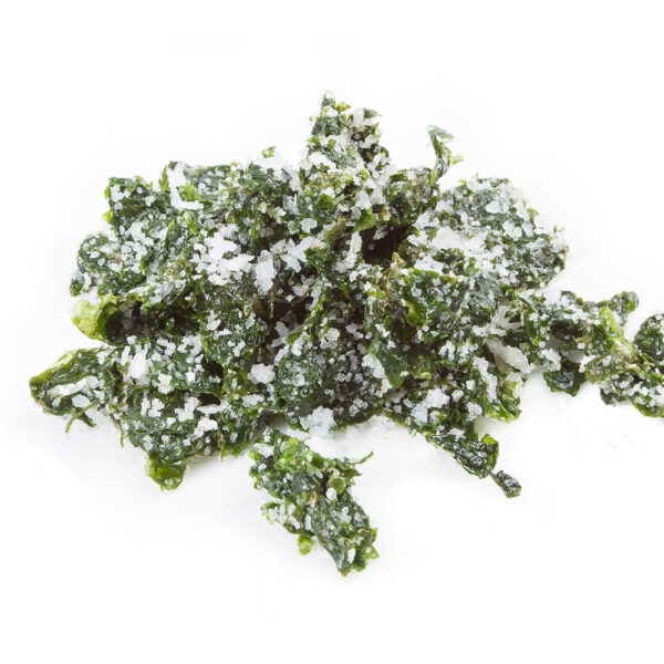 LECHUGA DE MAR FRESCA EN SAL 1KG