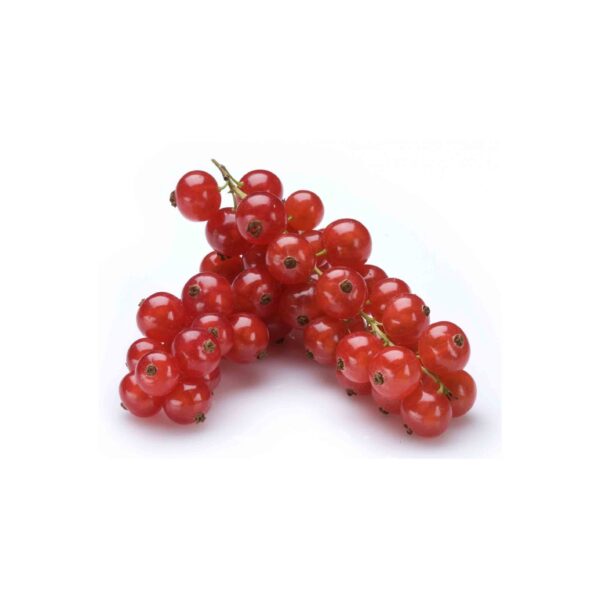GROSELLA ROJA 2,5KG BOCADO