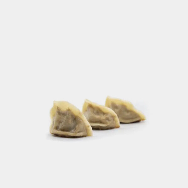 GYOZA DE PAPADA IBERICA 6X500GR