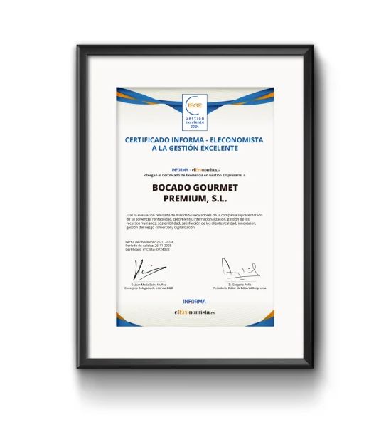 Certificado Premio IEGE enmarcado