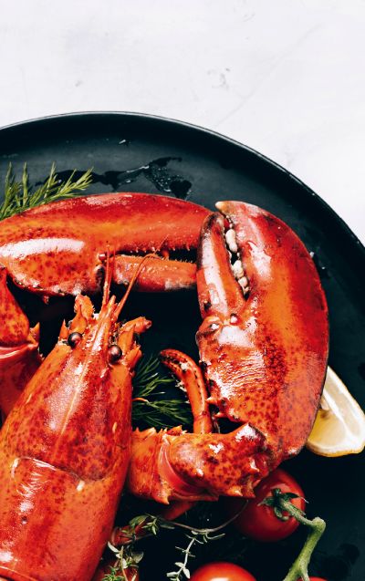 langosta cocinada en una plato