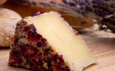 Descubre los quesos más gourmet que conquistarán tu paladar